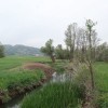 radulja_006.jpg