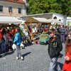 danzemlje_021.jpg