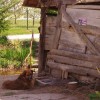 rangus_009.jpg