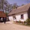 rangus_010.jpg