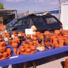 sejem_001.jpg