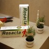 Rosacta-in-rozmarin.JPG