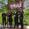 javorovica_064.jpg