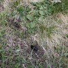 img_1426_000.jpg