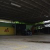 tr_11.jpg