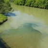 Mulj, Drava 5.jpg