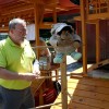 img_1697_000.jpg
