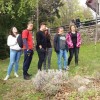 pohorje23.jpg