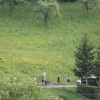 bo_tjanselin_ek_planktonmedia__6_.jpg