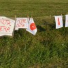 pedenjped_035.jpg