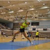 _zzzbadminton2.jpg