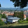 pedenjped_005.jpg