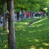 pedenjped_003.jpg