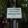 gospodicna__11_.jpg