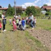 koruza_v_dezeli_kozolcev_009.jpg
