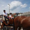 cerkev_061.jpg