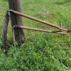 kosnja_na_jurjevi_domaciji_010.jpg