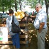 drobnicaj09.jpg