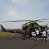 img_9011_000.jpg
