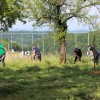kosnja_na_jurjevi_domaciji_029.jpg