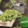 spar naslovna.jpg