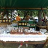 drobnicaj23.jpg