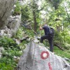 p06.jpg