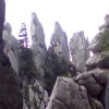 p29.jpg