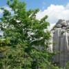 p08.jpg