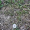 img_2395_000.jpg