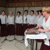 jelka_krivec53.jpg