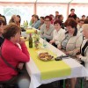 jelka_krivec28.jpg