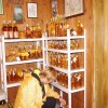 cebele_014.jpg
