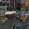 dsc_0042__small_.jpg