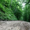 img_3300_000.jpg