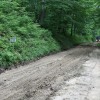 img_3303_000.jpg
