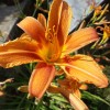 20170618_152557_001.jpg