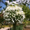 20170618_152405_001.jpg