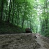 img_3343_000.jpg