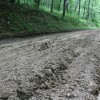 img_3344_000.jpg