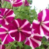 20170618_150953.jpg