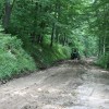 img_3305_000.jpg