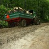 img_3341_000.jpg