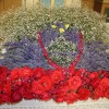 img_3652_000.jpg