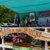 semanji_003.jpg