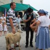 semanji_058.jpg