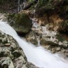 img_7145.jpg