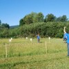 kosnja_013.jpg