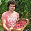 maline.jpg