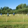 kosnja_003.jpg
